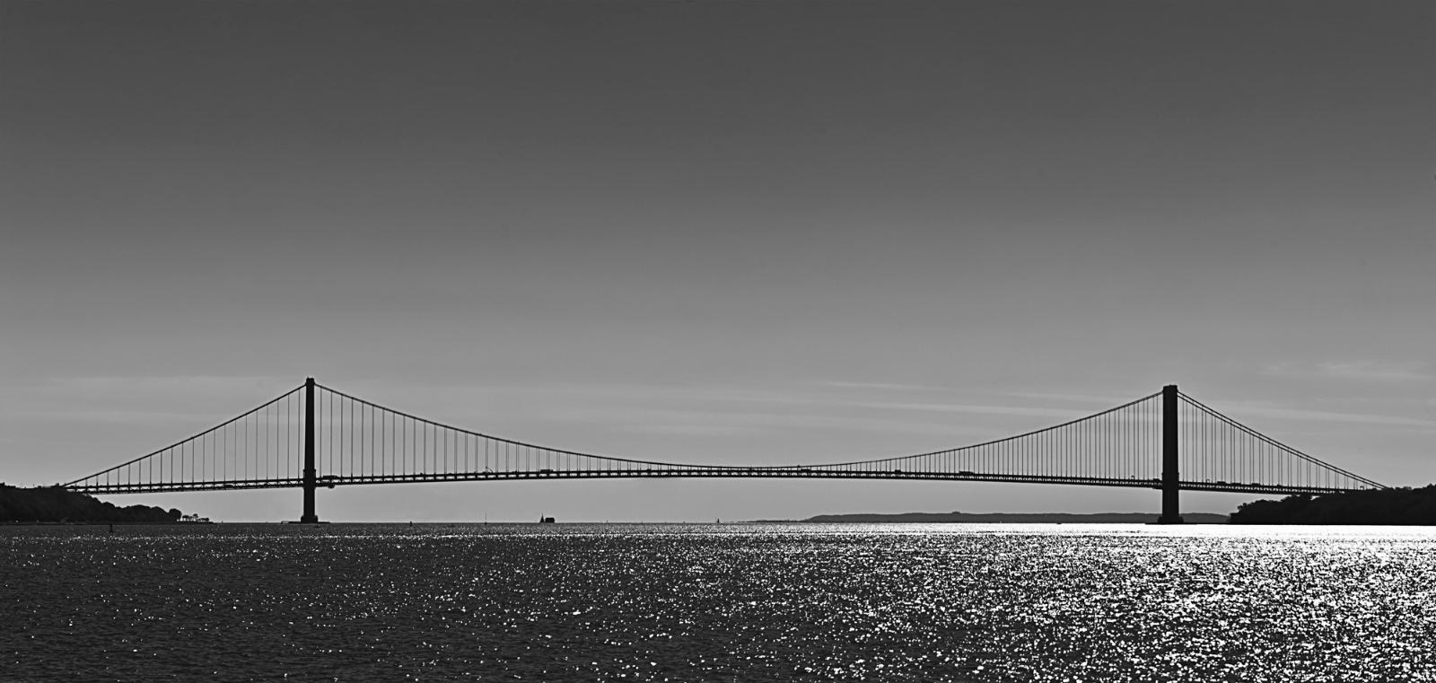 Verrazano Narrows Bridge2